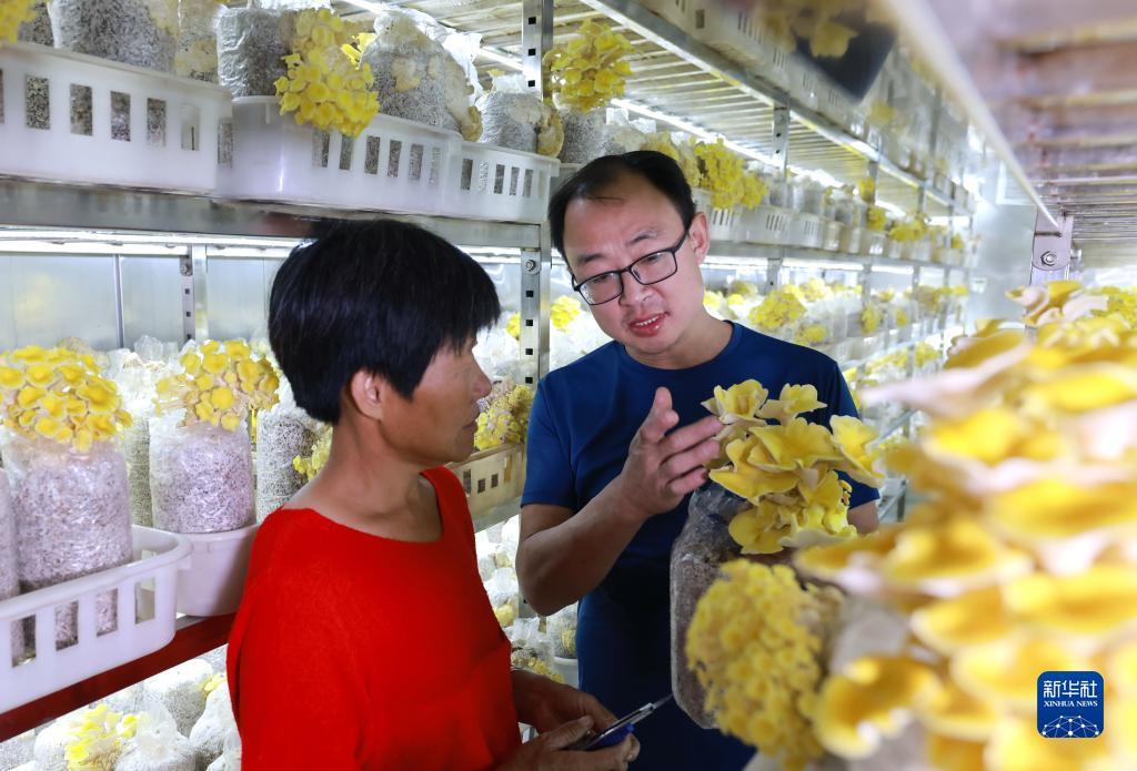 太阳城游戏网站